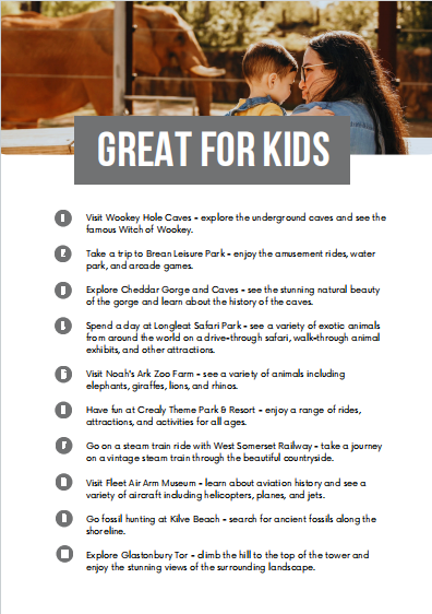 Premium Host Welcome Book Template
